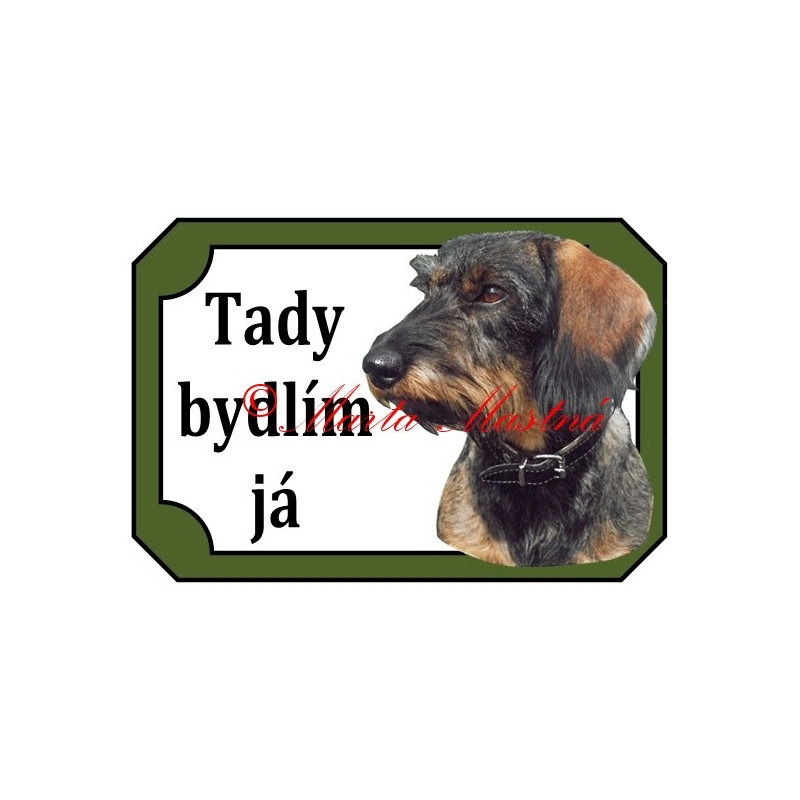 Tabulka jezevčík drsnosrstý