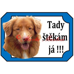 Tabulka kanadský retrívr, nova scotia duck tolling retriever, toller