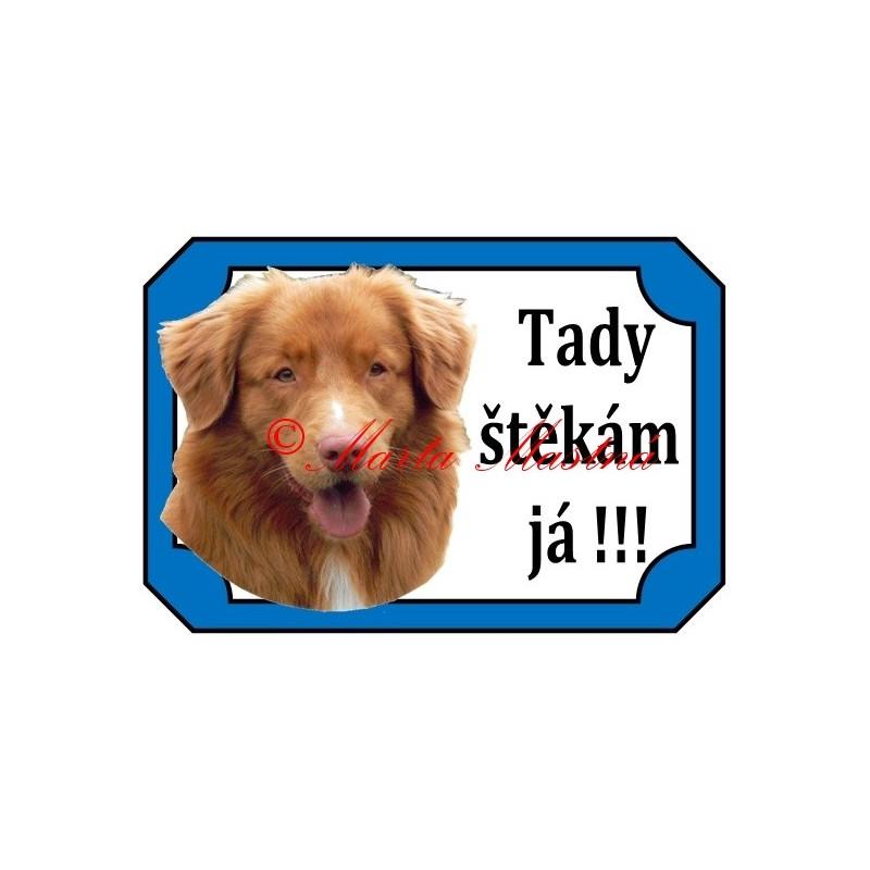 Tabulka kanadský retrívr, nova scotia duck tolling retriever, toller