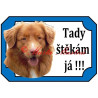 Tabulka kanadský retrívr, nova scotia duck tolling retriever, toller