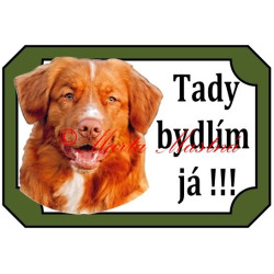 Tabulka kanadský retrívr, nova scotia duck tolling retriever, toller