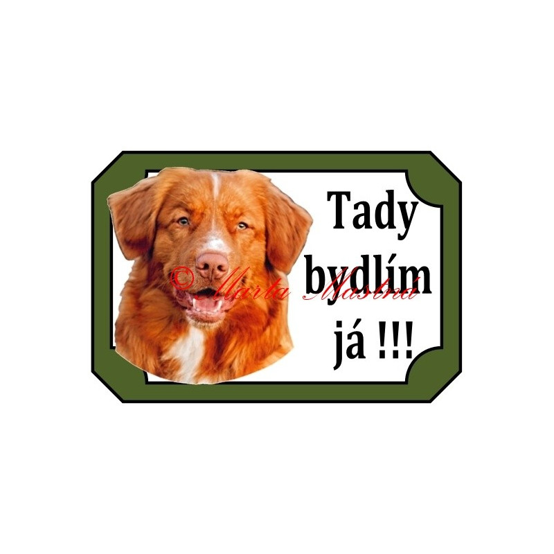Tabulka kanadský retrívr, nova scotia duck tolling retriever, toller