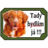 Tabulka kanadský retrívr, nova scotia duck tolling retriever, toller