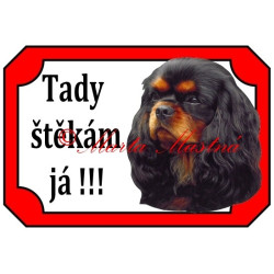 Tabulka kavalír king Charles španěl