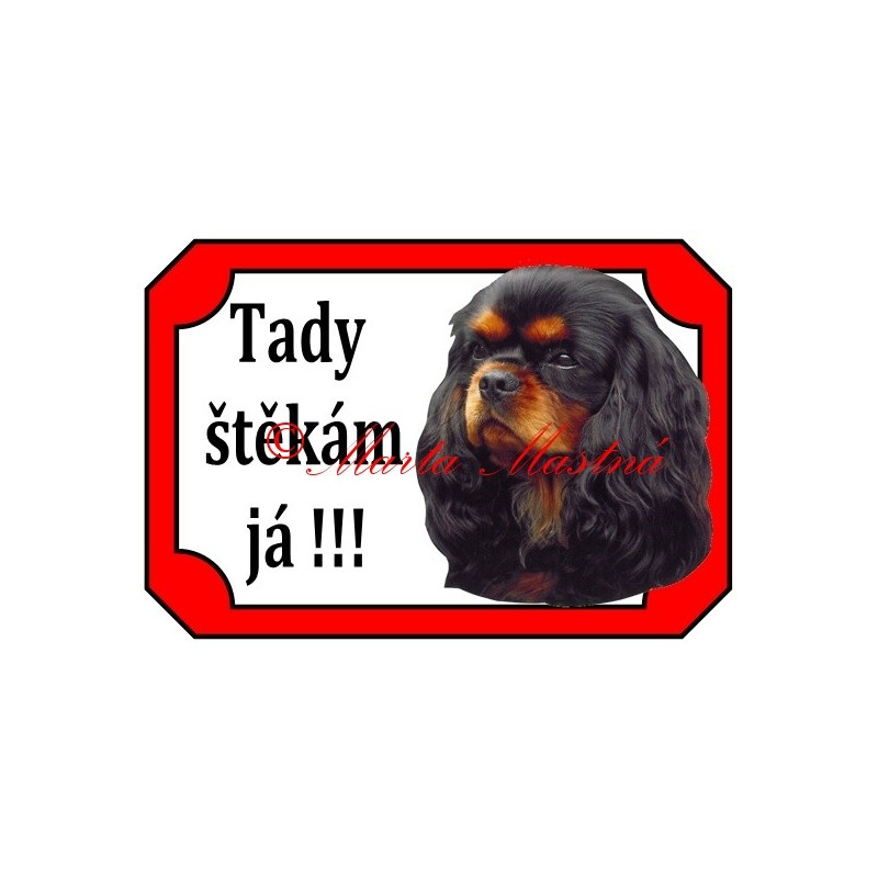 Tabulka kavalír king Charles španěl