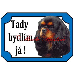 Tabulka kavalír king Charles španěl