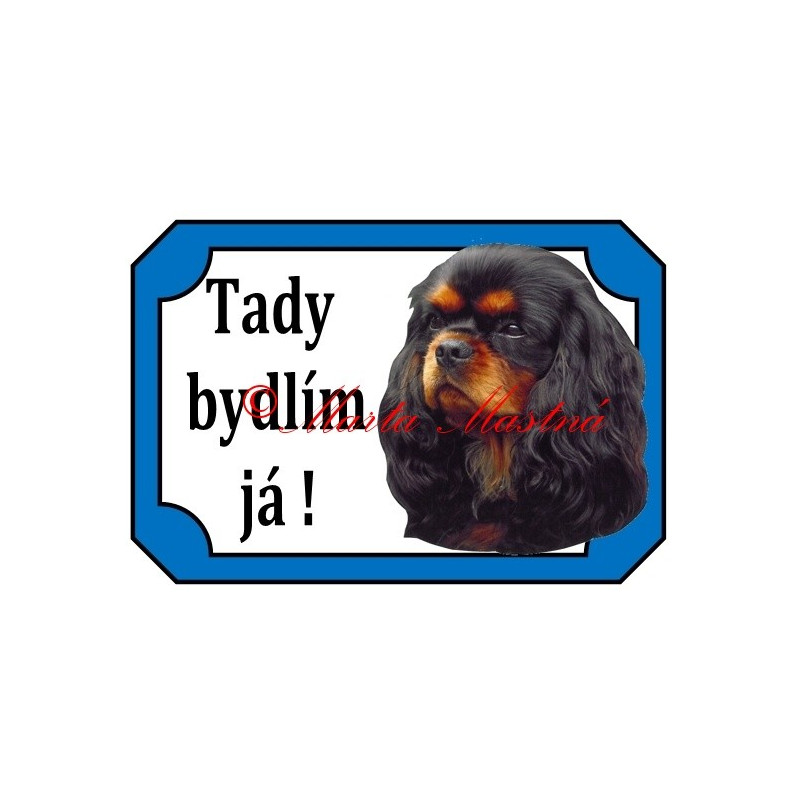 Tabulka kavalír king Charles španěl