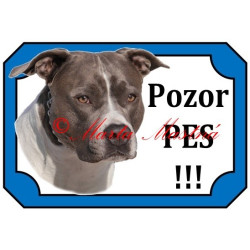 Tabulka staford, pitbul