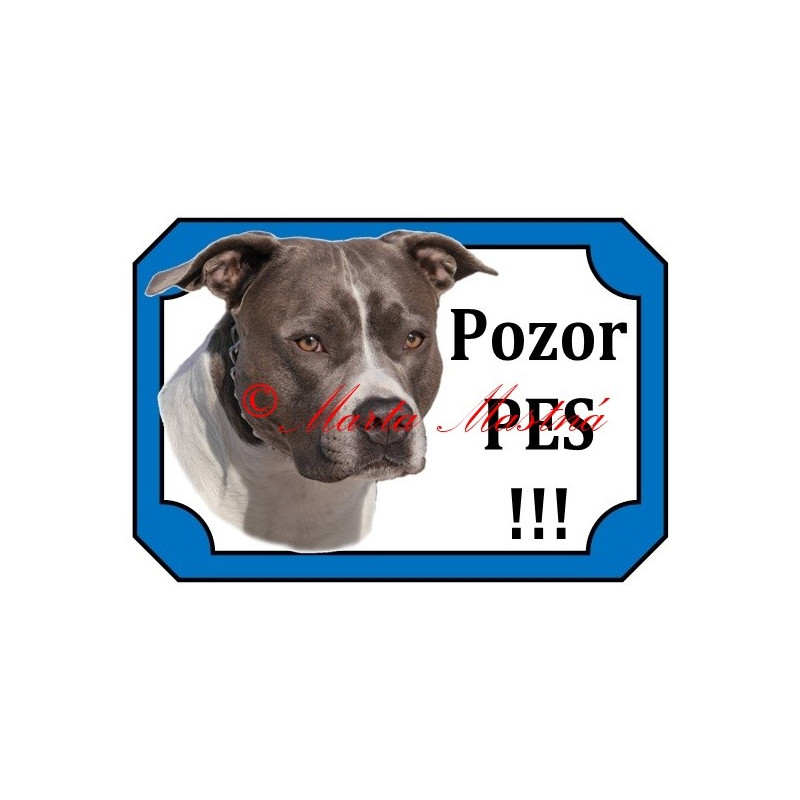 Tabulka staford, pitbul