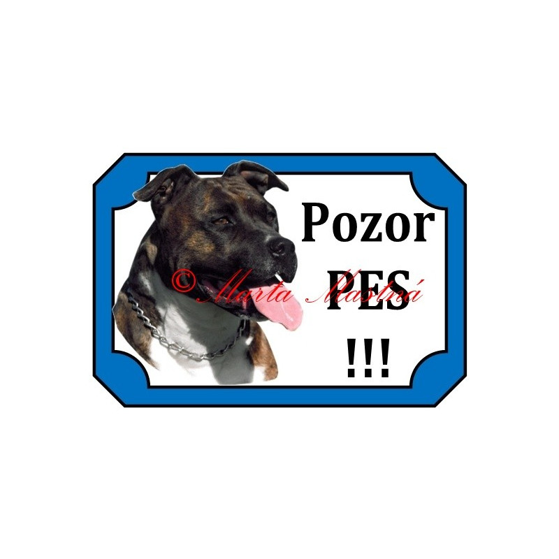 Tabulka staford, pitbul