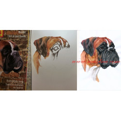 Autorský tisk boxer