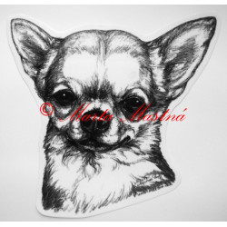 Americký kokršpaněl