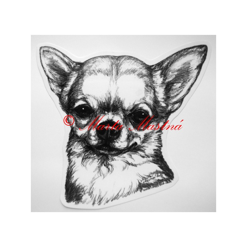 Americký kokršpaněl