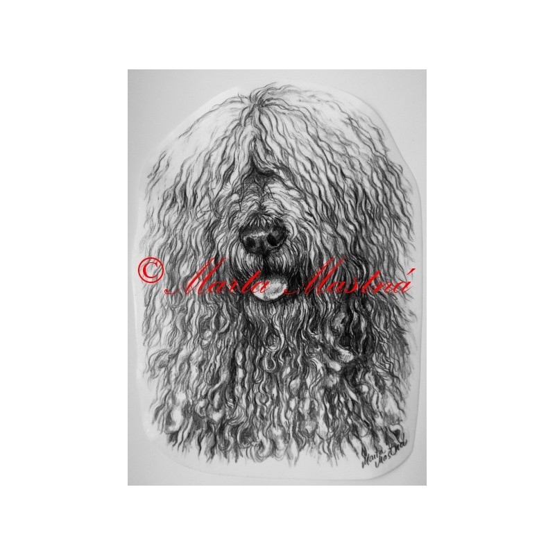 Samolepka komondorl - dvě velikosti