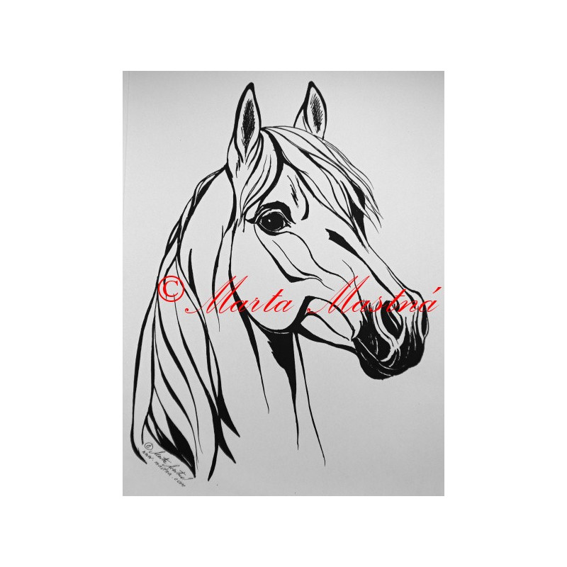 Samolepka kůň