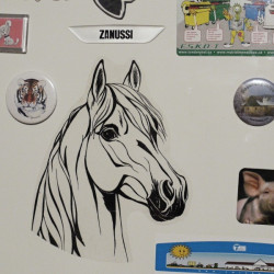 Samolepka kůň