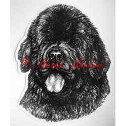 Novofundlandský pes