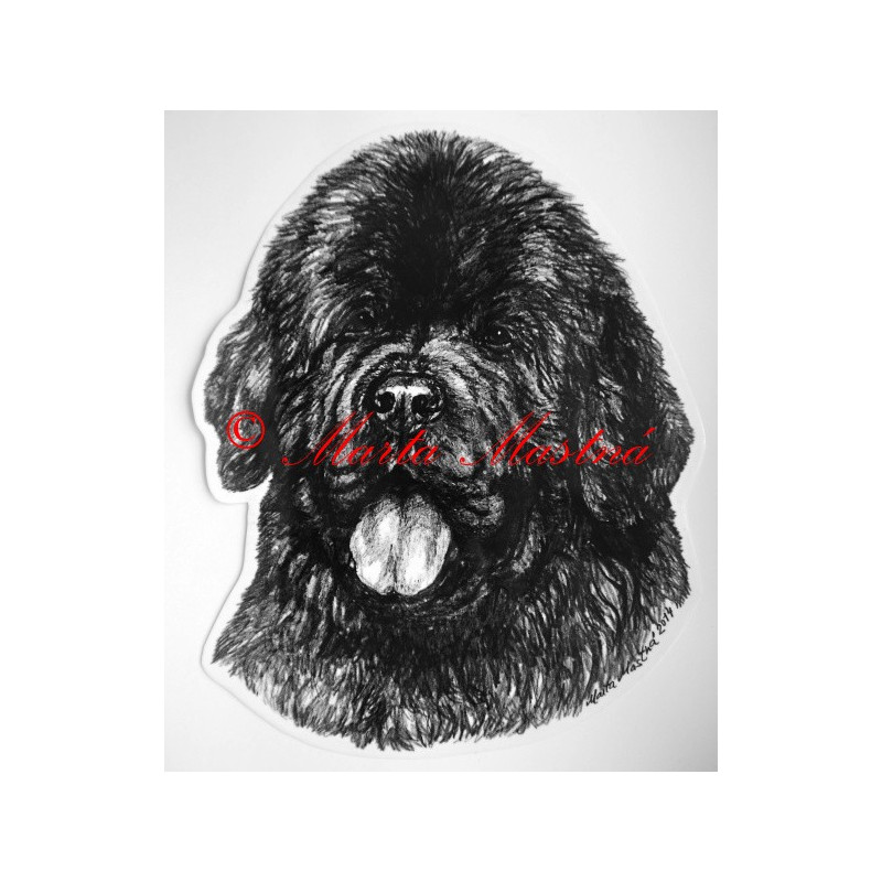 Novofundlandský pes