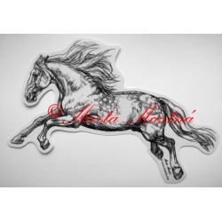 Samolepka kladrubský kůň, koně
