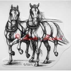Samolepka kladrubský kůň, lipicán, spřežení , koně
