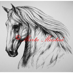 Samolepka kůň andaluzan, lusitano