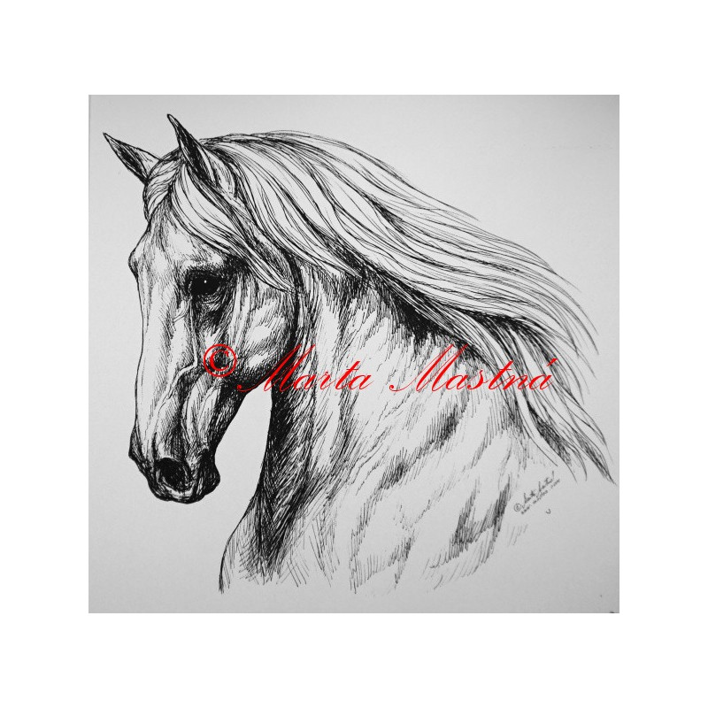 Samolepka kůň andaluzan, lusitano