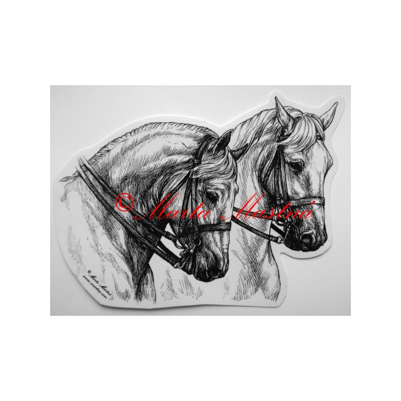 Samolepka kůň kladrubský, lipicán