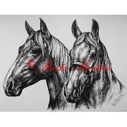 Samolepka koně teplokrevníci