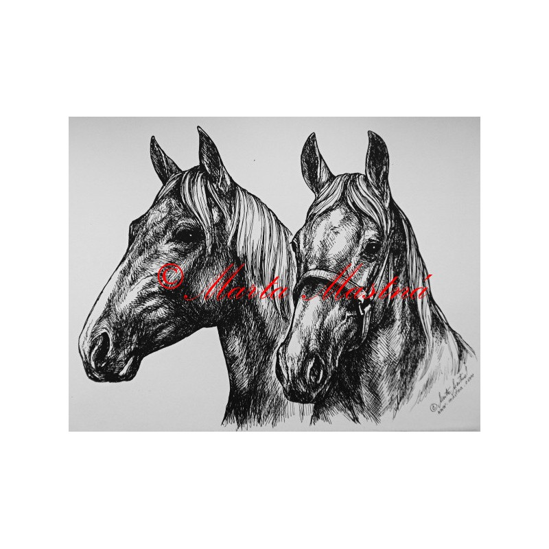 Samolepka koně teplokrevníci