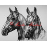 Samolepka koně teplokrevníci
