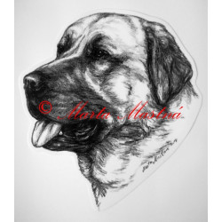 Anatolský pastevecký pes, kangal