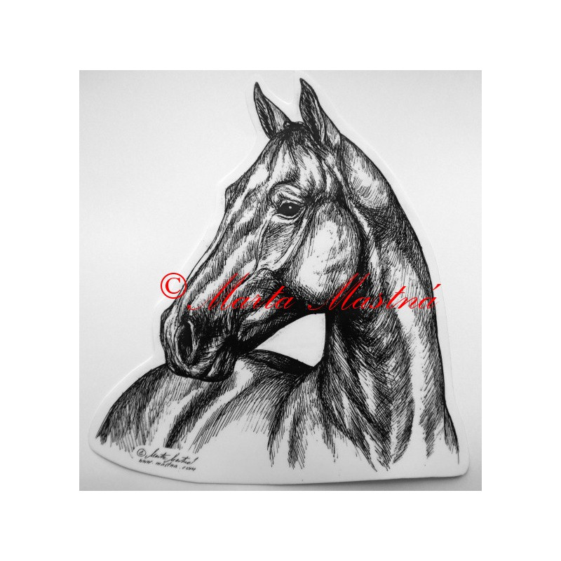 Samolepka kůň teplokrevník