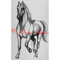 Samolepka kůň teplokrevník