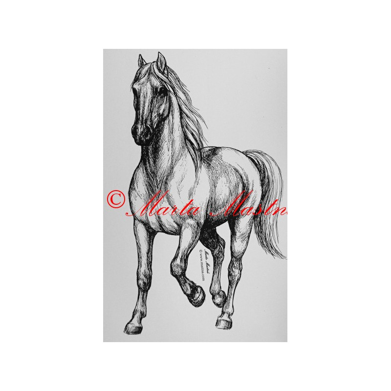 Samolepka kůň teplokrevník