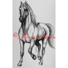 Samolepka kůň teplokrevník