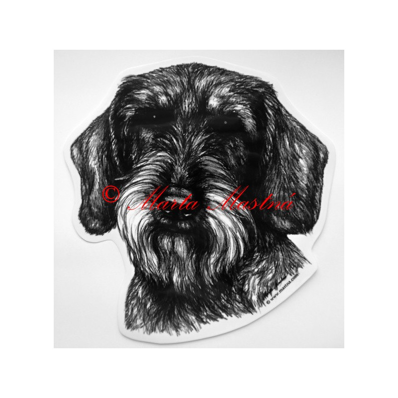 Jezevčík drsnosrstý