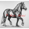 Samolepka kůň chladnokrevník