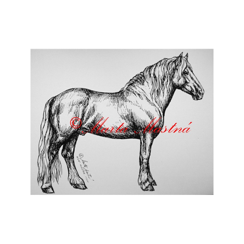 Samolepka kůň chladnokrevník, norik