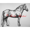 Samolepka kůň chladnokrevník, norik