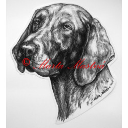 Německý krátkosrstý ohař