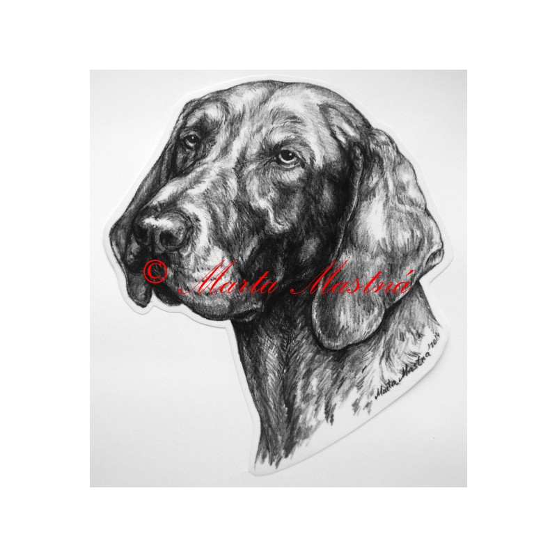 Německý krátkosrstý ohař