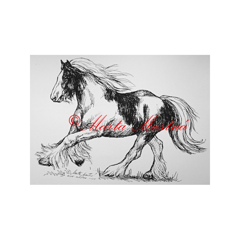 Samolepka kůň irský cob, tinker