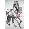 Samolepka kůň
