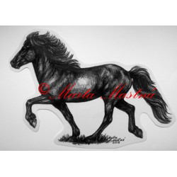 Samolepka kůň islandský, tolt