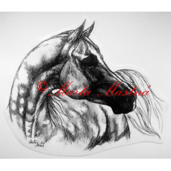 Samolepka kůň arabský