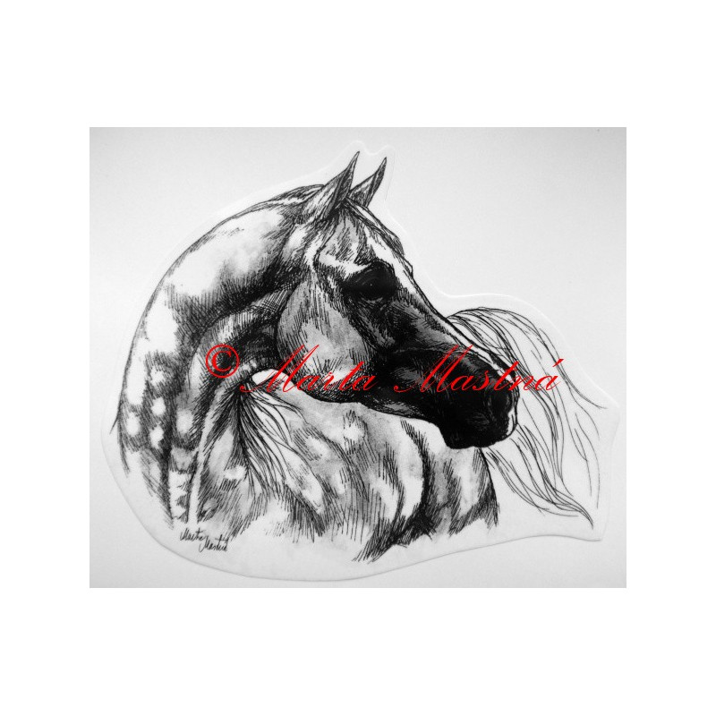 Samolepka kůň arabský