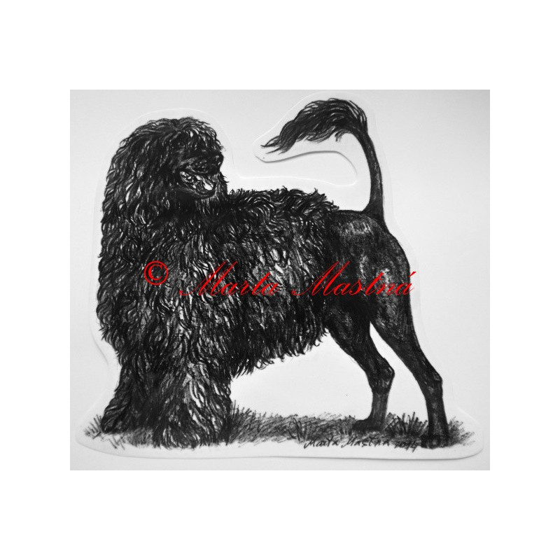 Portugalský vodní španěl