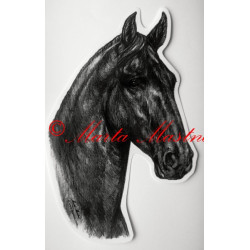 Samolepka kůň kladrubský