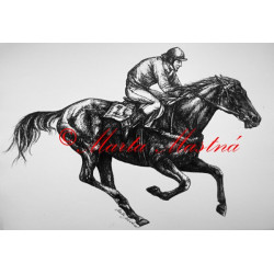 Samolepka kůň plnokrevník, dostihy