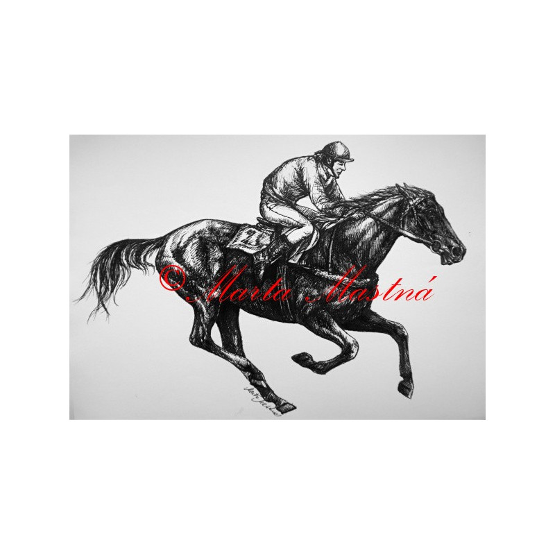 Samolepka kůň plnokrevník, dostihy